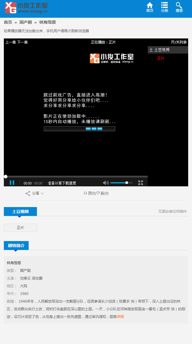 手机端播放页